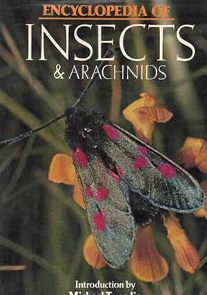 Encyclopedia of Insects and Arachnids