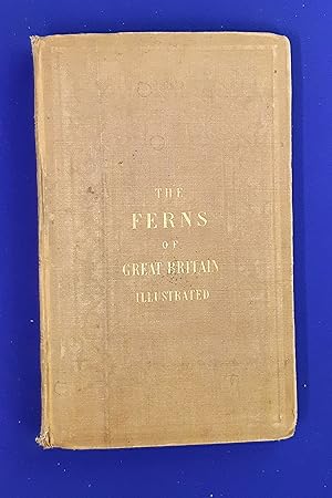 The Ferns of Great Britain : Illustrated by John E. Sowerby, Proprietor of Sowerby's English Bota...