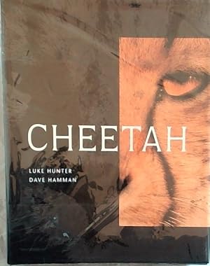 Bild des Verk�ufers f�r Cheetah zum Verkauf von Chapter 1