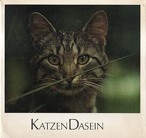 KatzenDasein.