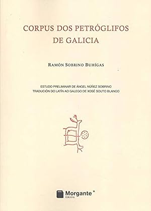 Seller image for Corpus dos petrglifos de Galicia Estudo preliminar de ngel Nez Sobrino for sale by Imosver