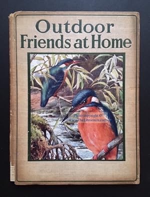 Outdoor Friends at Home: By Hedgerow, Mead, and Pool (The Rambler Nature Books)