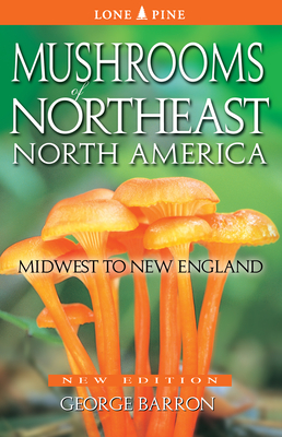 Imagen del vendedor de Mushrooms of Northeast North America: Midwest to New England (Paperback or Softback) a la venta por BargainBookStores