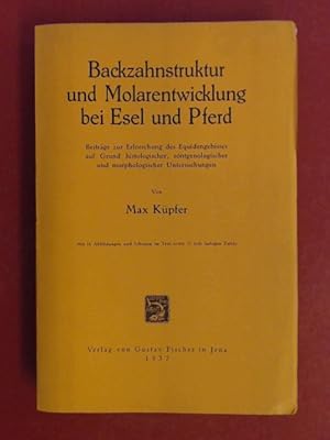 Backzahnstruktur und Molarentwicklung bei Esel und Pferd. Beiträge zur Erforschung des Equidengeb...