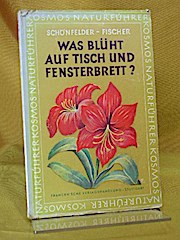 Seller image for Was blht auf Tisch und Fensterbrett? for sale by Buchliebe-shop I Buchhandlung am Markt