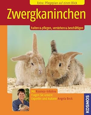 Zwergkaninchen / Bec