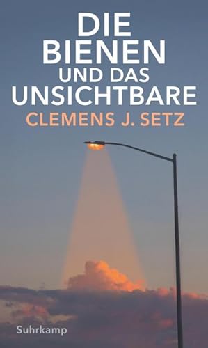 Seller image for Die Bienen und das Unsichtbare for sale by Rheinberg-Buch Andreas Meier eK
