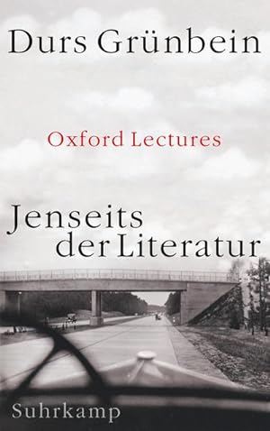 Bild des Verkäufers für Jenseits der Literatur : Oxford Lectures zum Verkauf von AHA-BUCH GmbH