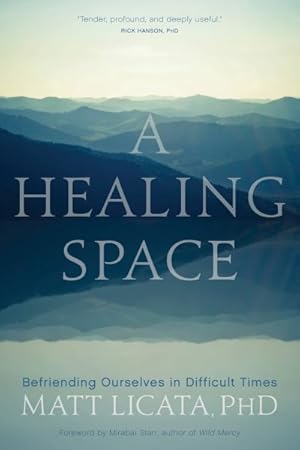 Imagen del vendedor de Healing Space : Befriending Ourselves in Difficult Times a la venta por GreatBookPricesUK