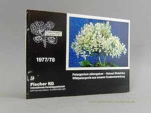 Fischer-Pelargonien 1977/78. Pelargonium oblongatum - Heimat Südafrika. Wildpelargonie aus unsere...