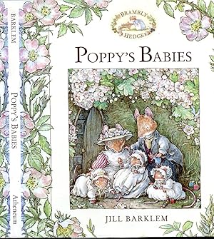 Poppy's Babies (Brambly Hedge)