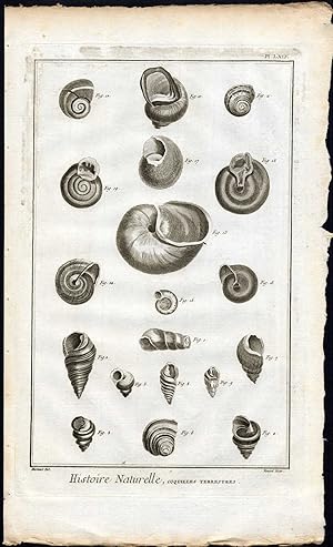 Antique Print-SNAIL SHELL-COQUILLE-Martinet-Diderot-1751