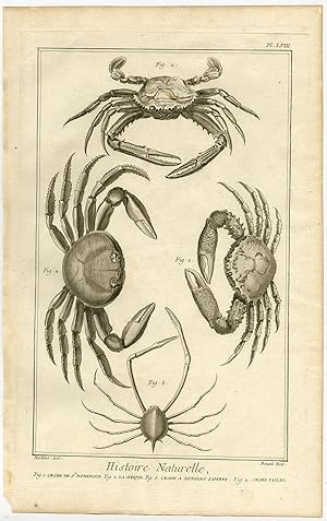 Antique Print-SPIDER CRAB-GUINOTIA DENTATA-PURPLE MARSH-Martinet-Diderot-1751