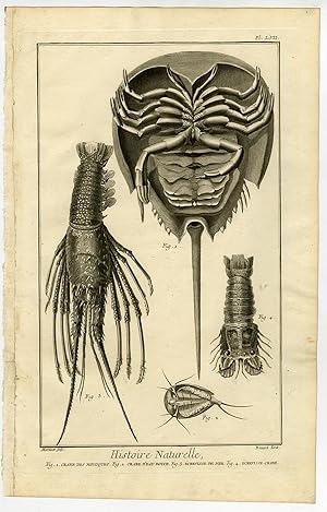 Antique Print-LOBSTER-HORSESHOE CRAB-FRESHWATER CRAB-Martinet-Diderot-1751