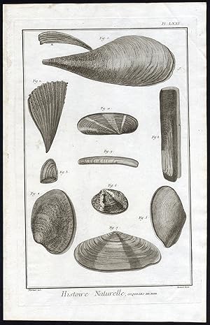 Antique Print-SEA SHELL-COQUILLE DE MER-MUSSEL-Martinet-Diderot-1751