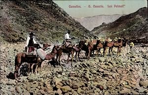 Image du vendeur pour Ansichtskarte / Postkarte Las Palmas de Gran Canaria Kanarische Inseln, Camellos, Kamele, Karawane mis en vente par akpool GmbH