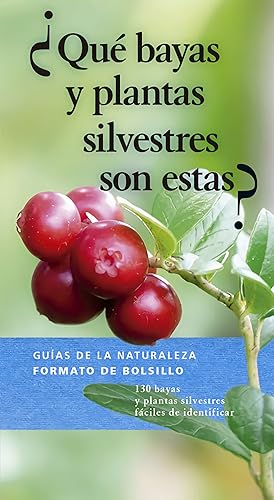 ¿quÉ bayas y plantas silvestres son estas?