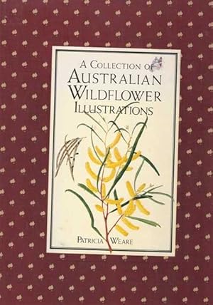 A Collection of Australian Wildflower Illustrations