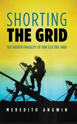 Image du vendeur pour Shorting the Grid: The Hidden Fragility of Our Electric Grid (Hardback or Cased Book) mis en vente par BargainBookStores