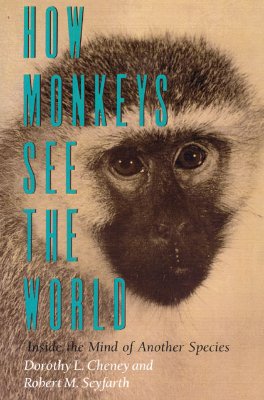 Imagen del vendedor de How Monkeys See the World: Inside the Mind of Another Species (Paperback or Softback) a la venta por BargainBookStores