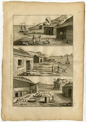 Antique Fishing Print-SARDINES-SALTING-Pl. 96-Panckoucke-1793