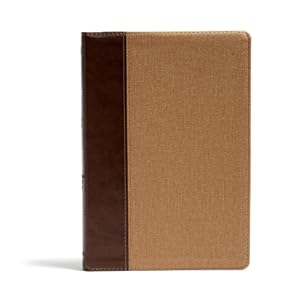 Seller image for KJV Rainbow Study Bible, Brown/Tan Leathertouch (Leather / Fine Binding) for sale by BargainBookStores