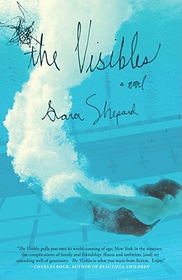 Seller image for The Visibles (Paperback or Softback) for sale by BargainBookStores