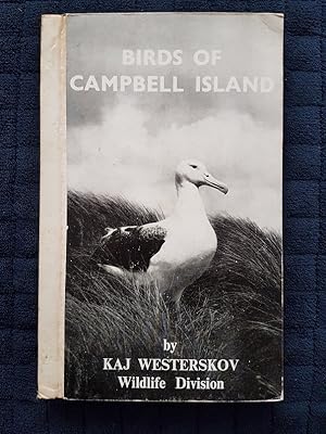 Birds of Campbell Island