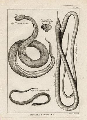 Antique Print-HORNED SNAKE-SNAKES-Panckoucke-1789