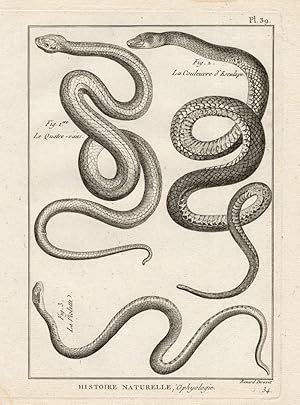 Antique Print-AESCULAPIAN SNAKE-SNAKES-Panckoucke-1789