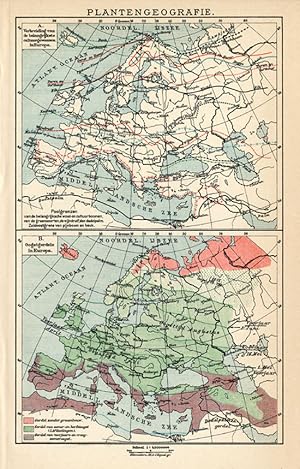 Antique Map-EUROPE-GEOGRAPHY OF PLANTS-Meyers-1895