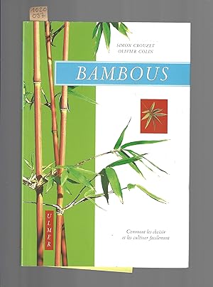 Bambous : Comment les choisir et les cultiver facilement
