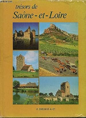 Image du vendeur pour Trsors de Sane-et-Loire mis en vente par JLG_livres anciens et modernes