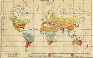 Antique Map-AGRICULTURE-WORLD MAP-Meyers-1895