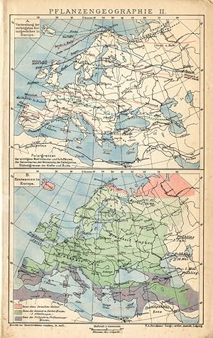 Antique Map-PLANTS-GEOGRAPHY-EUROPE-Meyers-1895