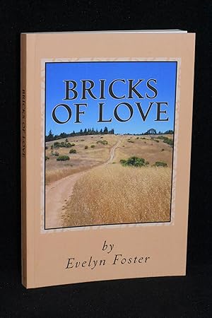 Imagen del vendedor de Bricks of Love a la venta por Books by White/Walnut Valley Books