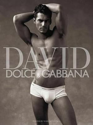 Seller image for DAVID GANDY Dolce & Gabbana Limited Edition CALENDAR 2008 by MARIANO VIVANCO for sale by Magscorner
