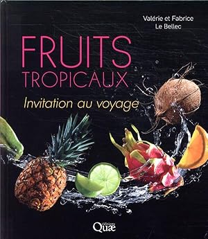 fruits tropicaux ; invitation au voyage