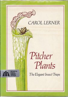 Pitcher Plants: The Elegant Insect Traps