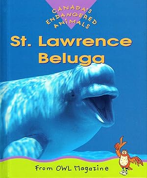 St. Lawrence Beluga : Canada's Endangered Animals :