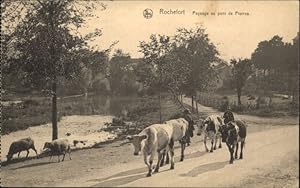 Postkarte Carte Postale 10895371 Rochefort Rochefort Paysage Pont Pierres Kuh x Rochefort