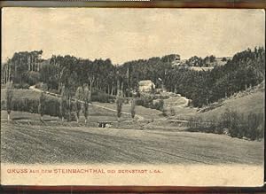 Postkarte Carte Postale 40373932 Bernstadt Bernstadt Steinbachthal x 1910