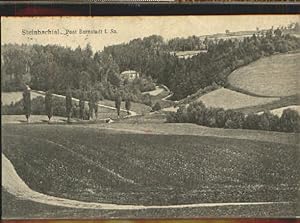 Postkarte Carte Postale 40373933 Bernstadt Bernstadt Steinbachthal x 1921