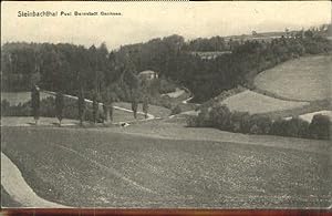 Postkarte Carte Postale 40373935 Bernstadt Bernstadt Steinbachthal ungelaufen ca. 1910
