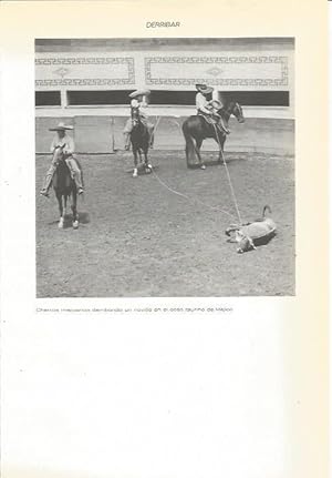 Seller image for LAMINA 22388: Charros de Mexico for sale by EL BOLETIN