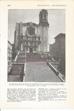 Bild des Verkufers fr LAMINA 22434: Escalinata de la Catedral de Girona zum Verkauf von EL BOLETIN