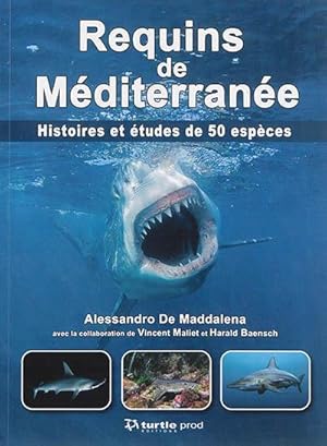 requins de Méditerranée