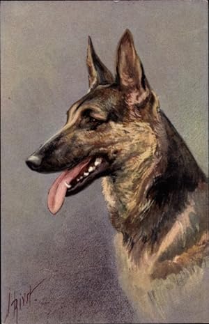 Künstler Ansichtskarte / Postkarte Alsatian Wolfhound, Berger alsatien, Schäferhund