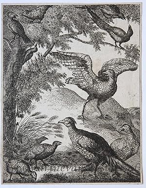 [Original etching] Vergeefse pooging. [S. Spinneker 'Leerzame Zinnebeelden'], ca 1717-1757.