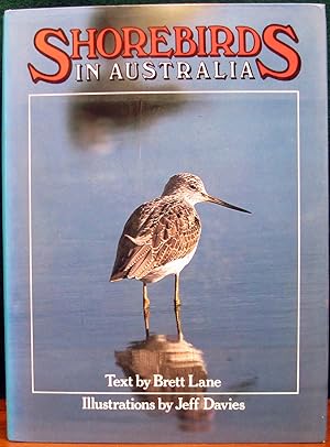 Seller image for SHOREBIRDS IN AUSTRALIA. With colour Illustralions by Jeff N. Davies. for sale by The Antique Bookshop & Curios (ANZAAB)
